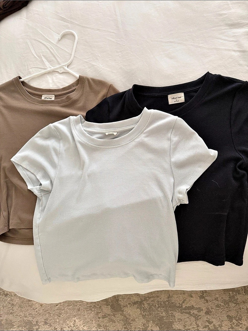 ARITZIA Wilfred Free Go-To T-Shirt Ribbed cropped Short Sleeve Tops Black & tan